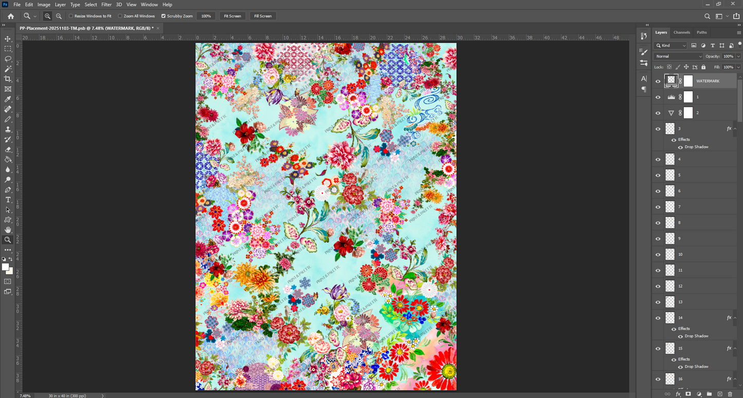 PP-Placement-20251103-TM