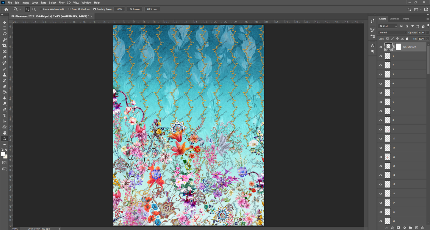 PP-Placement-20251106-TM