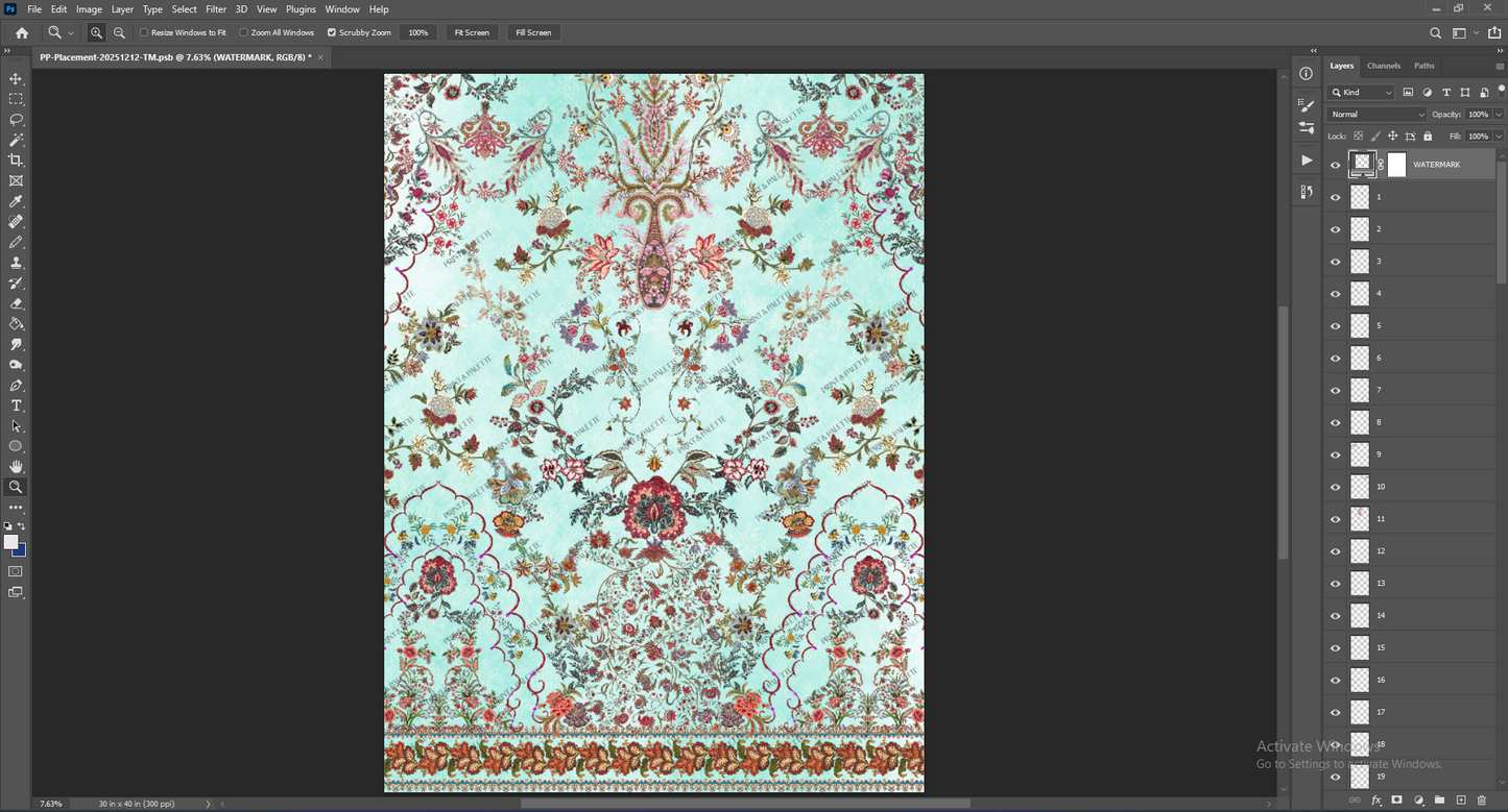 PP-Placement-20251212-TM