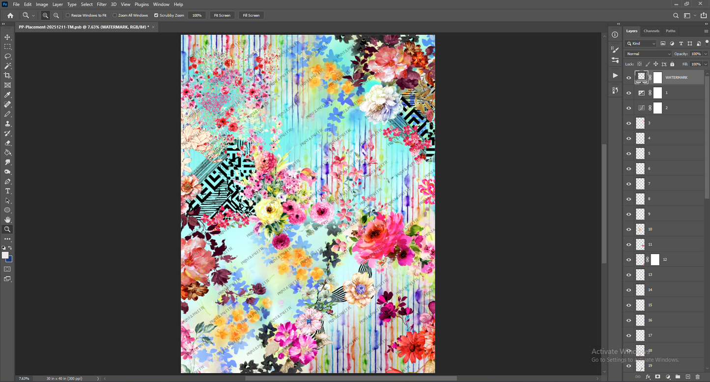 PP-Placement-20251211-TM